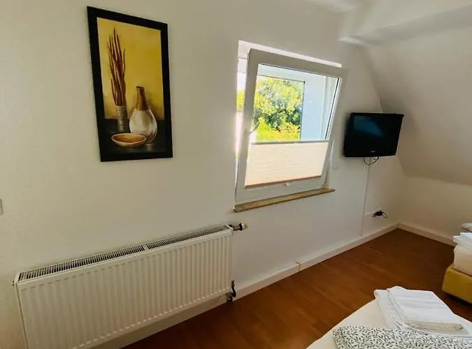 曼弗雷德马克思客房出租民宿 *